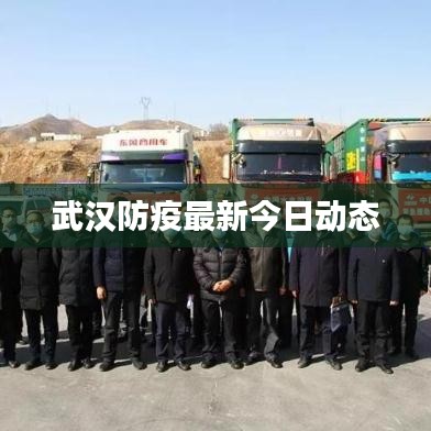 武汉防疫最新今日动态
