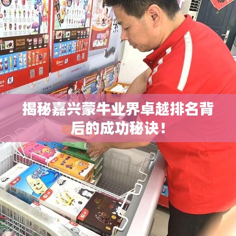 揭秘嘉兴蒙牛业界卓越排名背后的成功秘诀！