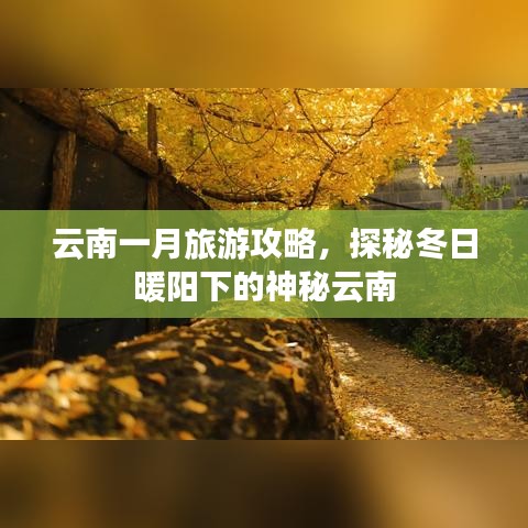 云南一月旅游攻略，探秘冬日暖阳下的神秘云南