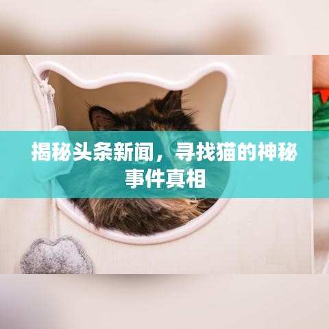 慷慨就义 第9页