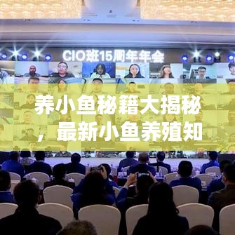 养小鱼秘籍大揭秘，最新小鱼养殖知识与技巧视频分享