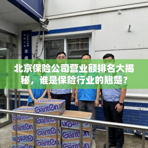 北京保险公司营业额排名大揭秘，谁是保险行业的翘楚？