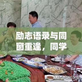 励志语录与同窗重逢，同学聚会背后的力量与情感共鸣