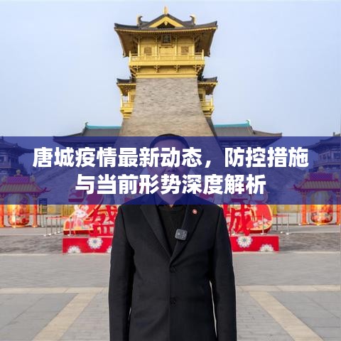 唐城疫情最新动态，防控措施与当前形势深度解析