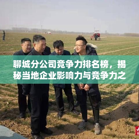 聊城分公司竞争力排名榜，揭秘当地企业影响力与竞争力之巅