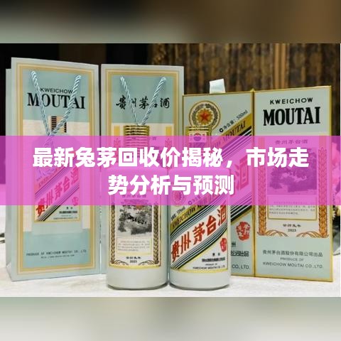 最新兔茅回收价揭秘，市场走势分析与预测
