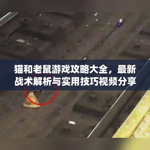 不期而遇 第9页