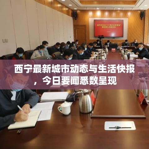 西宁最新城市动态与生活快报，今日要闻悉数呈现