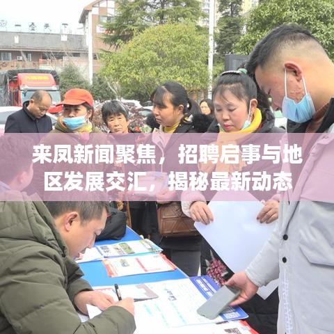 来凤新闻聚焦，招聘启事与地区发展交汇，揭秘最新动态