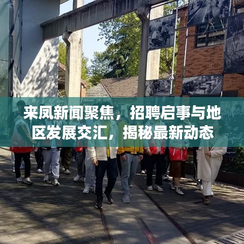 来凤新闻聚焦,招聘启事与地区发展交汇,揭秘最新动态