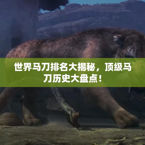 世界马刀排名大揭秘，顶级马刀历史大盘点！