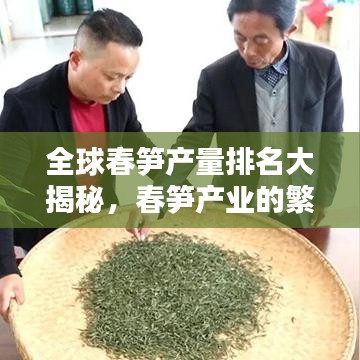全球春笋产量排名大揭秘，春笋产业的繁荣与巨大潜力！