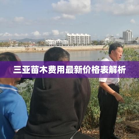 三亚苗木费用最新价格表解析