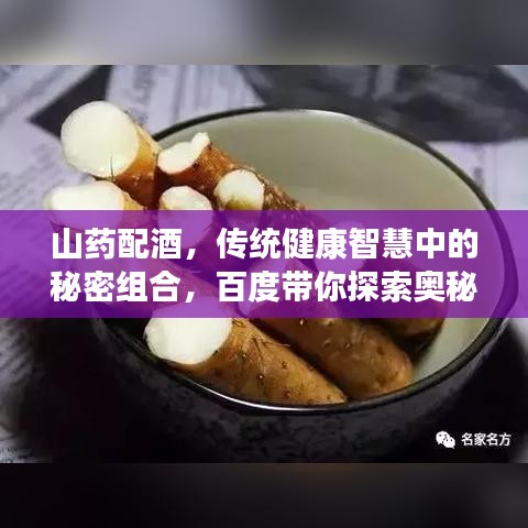 山药配酒，传统健康智慧中的秘密组合，百度带你探索奥秘！