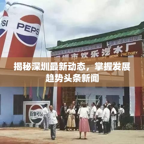 揭秘深圳最新动态，掌握发展趋势头条新闻