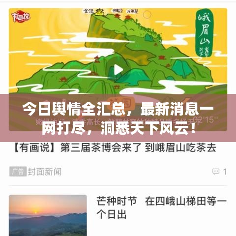 今日舆情全汇总，最新消息一网打尽，洞悉天下风云！