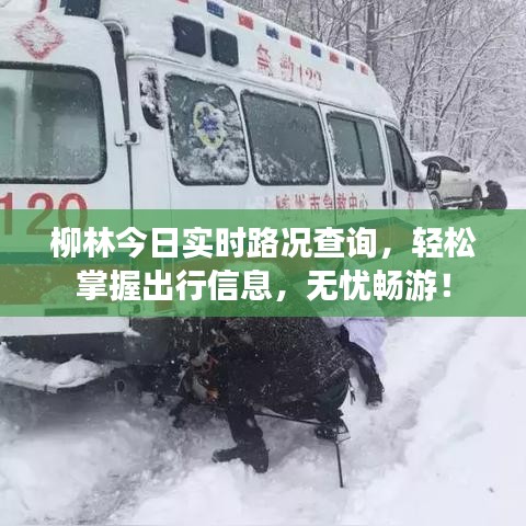 柳林今日实时路况查询，轻松掌握出行信息，无忧畅游！