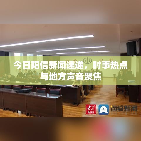 今日阳信新闻速递，时事热点与地方声音聚焦