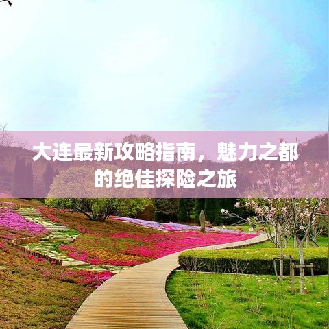 大连最新攻略指南，魅力之都的绝佳探险之旅