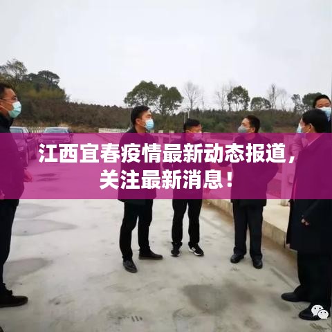 江西宜春疫情最新动态报道，关注最新消息！