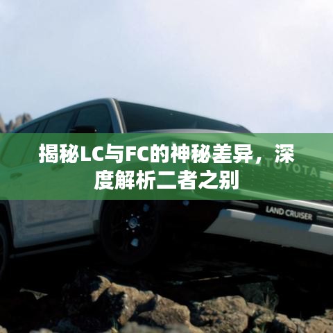 揭秘LC与FC的神秘差异，深度解析二者之别