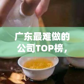 广东最难做的公司TOP榜，挑战与深度探究