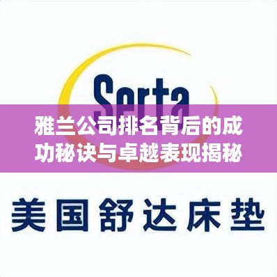 雅兰公司排名背后的成功秘诀与卓越表现揭秘