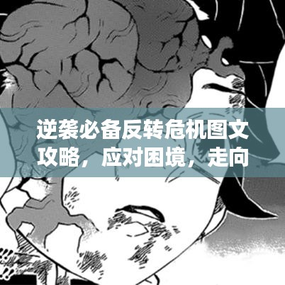 逆袭必备反转危机图文攻略,应对困境,走向成功的秘诀揭秘!