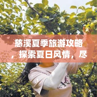 慈溪夏季旅游攻略，探索夏日风情，尽享美丽景色