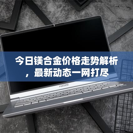 今日镁合金价格走势解析，最新动态一网打尽
