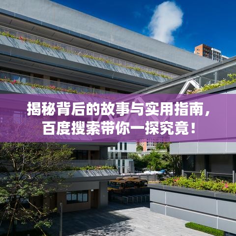 揭秘背后的故事与实用指南,百度搜索带你一探究竟!