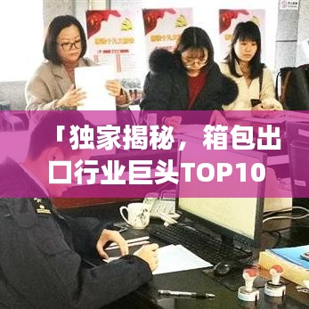 「独家揭秘,箱包出口行业巨头TOP10榜单,排名背后的故事大揭秘!」