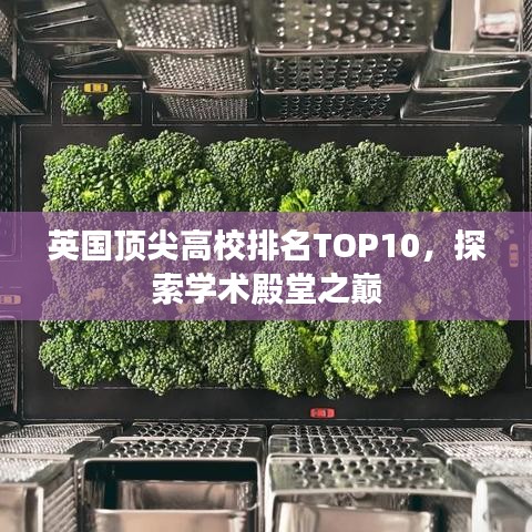 英国顶尖高校排名TOP10，探索学术殿堂之巅