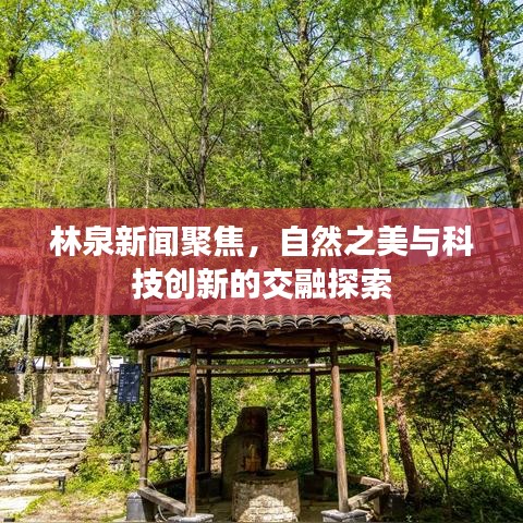 林泉新闻聚焦，自然之美与科技创新的交融探索