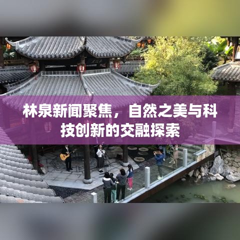 林泉新闻聚焦,自然之美与科技创新的交融探索