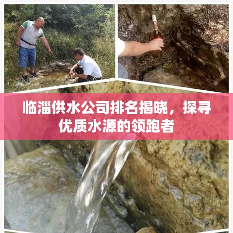 临淄供水公司排名揭晓，探寻优质水源的领跑者