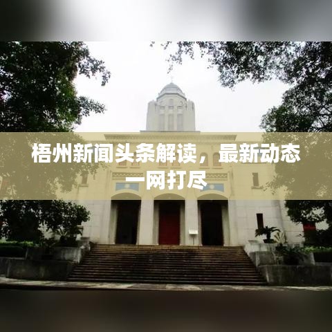 梧州新闻头条解读，最新动态一网打尽