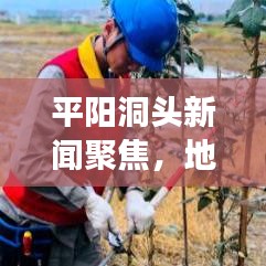 平阳洞头新闻聚焦，地区发展新动态的深度探索