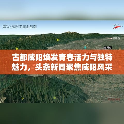 古都咸阳焕发青春活力与独特魅力，头条新闻聚焦咸阳风采