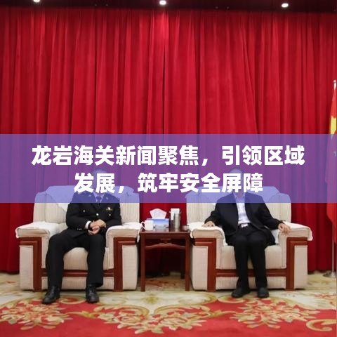 龙岩海关新闻聚焦，引领区域发展，筑牢安全屏障