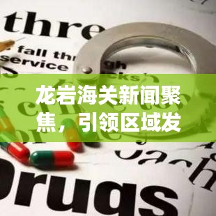 龙岩海关新闻聚焦,引领区域发展,筑牢安全屏障
