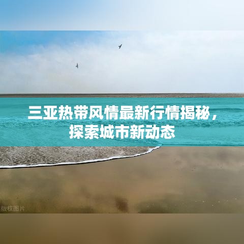 三亚热带风情最新行情揭秘，探索城市新动态