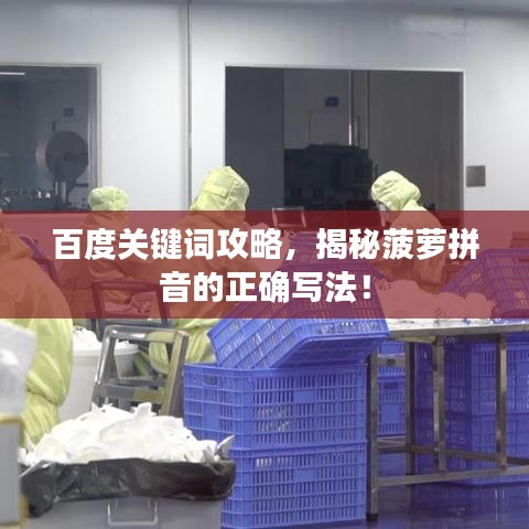 百度关键词攻略，揭秘菠萝拼音的正确写法！