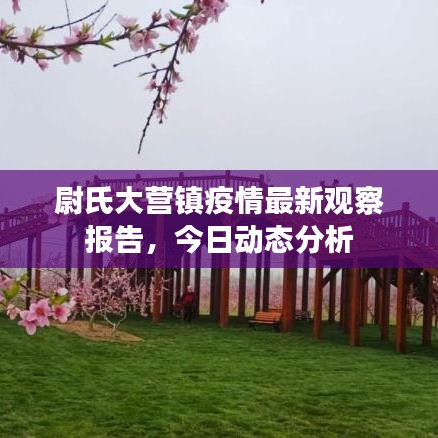 尉氏大营镇疫情最新观察报告，今日动态分析