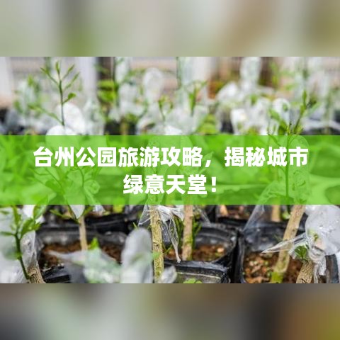 台州公园旅游攻略，揭秘城市绿意天堂！