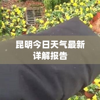 昆明今日天气最新详解报告