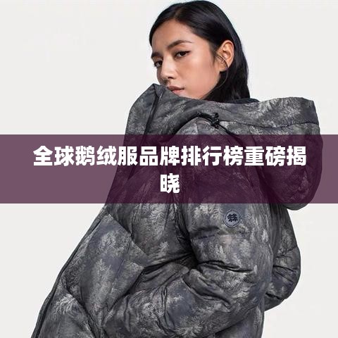 全球鹅绒服品牌排行榜重磅揭晓
