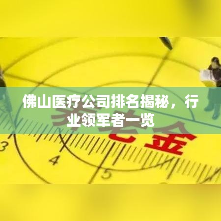 佛山医疗公司排名揭秘，行业领军者一览