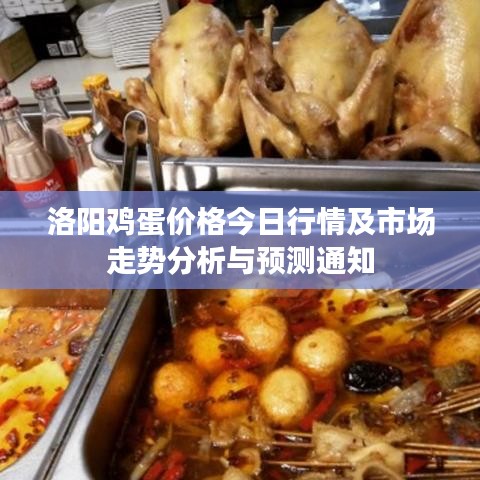洛阳鸡蛋价格今日行情及市场走势分析与预测通知