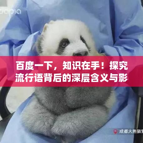 百度一下，知识在手！探究流行语背后的深层含义与影响力